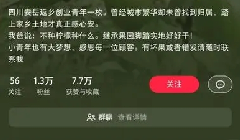 风向标-点石成金