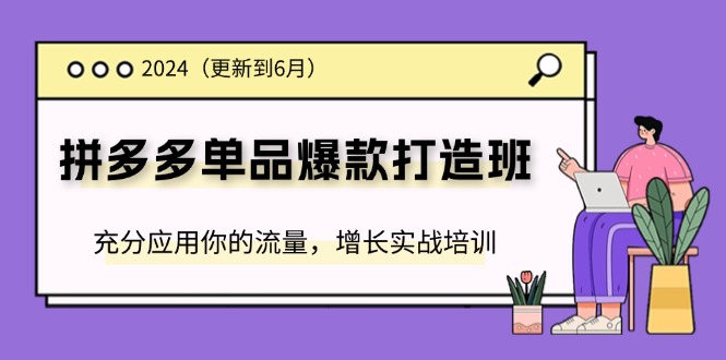 2024拼多多单品爆款打造班，充分应用你的流量，增长实战培训(更新6月)-点石成金