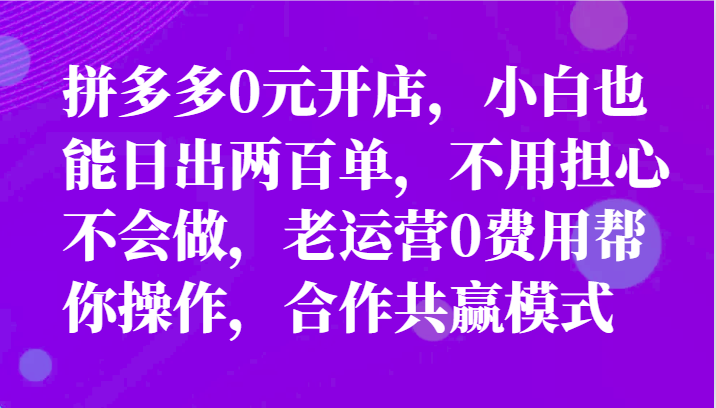 全新拼多多平台优质企业新手褔利，二天销售量过百单，不要钱、老经营代实际操作-点石成金