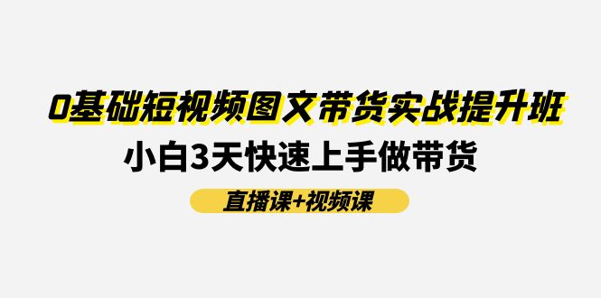 （11641期）0基本小视频图文并茂卖货实战演练提高班(视频课堂 视频课程)：新手3天快速入门做卖货-点石成金