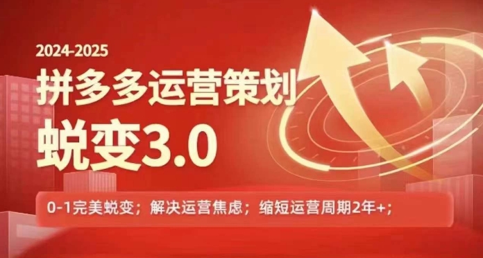 2024-2025拼多多运营对策成长3.0，0~1华丽蜕变，处理信息焦虑-点石成金