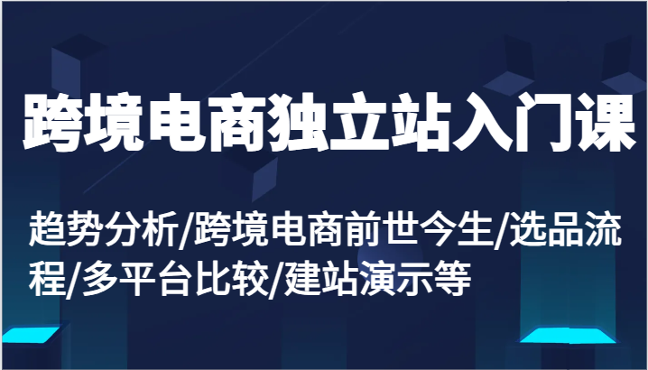 跨境电商电商独立站新手入门课：变化趋势/跨境电子商务来世今生/选款步骤/全平台较为/建网站演试等-点石成金