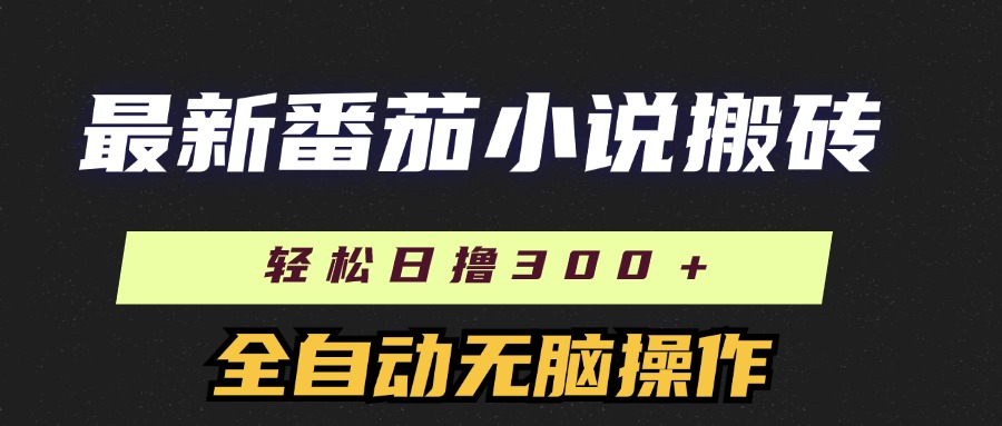 （11904期）最新番茄小说搬砖，日撸300＋！全自动操作，可矩阵放大-点石成金