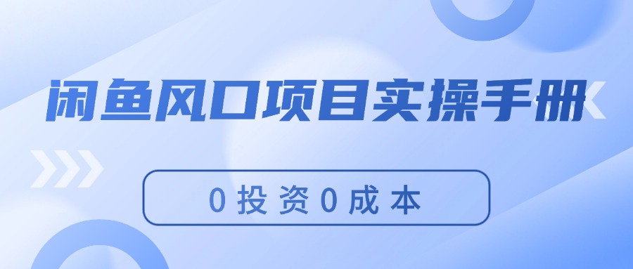 （11923期）闲鱼平台蓝海项目实际操作指南，0投入0成本费，使你保证，月入了万，初学者能做-点石成金