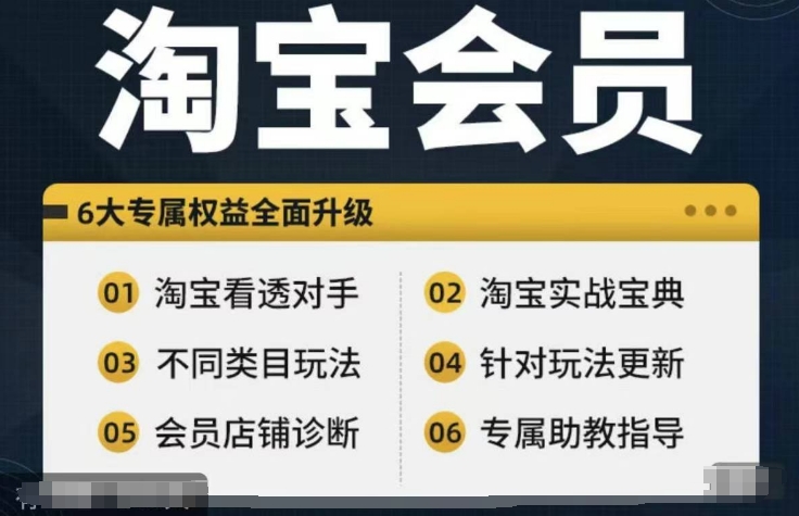 淘宝会员【淘宝网全部课程，深入分析敌人】，初中级到大神全系列实战演练秘笈-点石成金