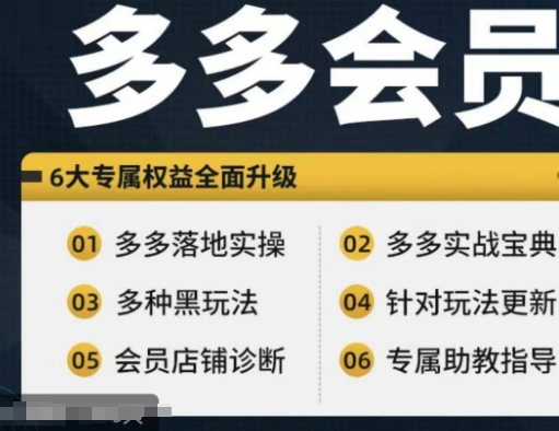 拼多多会员，拼多多平台实战演练秘笈 实战演练落地式实际操作，从初学者到高级具体内容全覆盖-点石成金