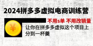 （12024期）2024拼多多虚拟电商训练营 不s单 不改销量  做虚拟项目分一杯羹(更新10节)-点石成金