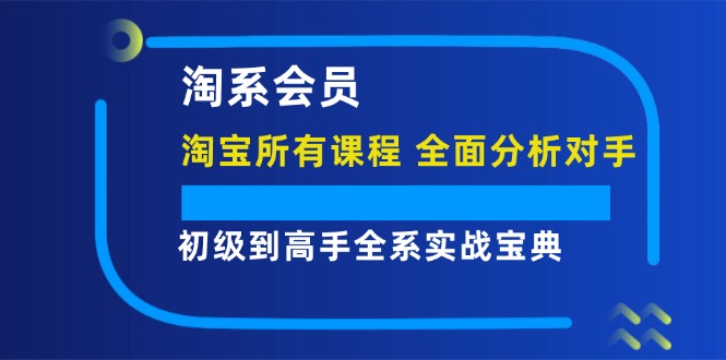 淘系会员初级到高手全系实战宝典【淘宝所有课程，全面分析对手】-点石成金