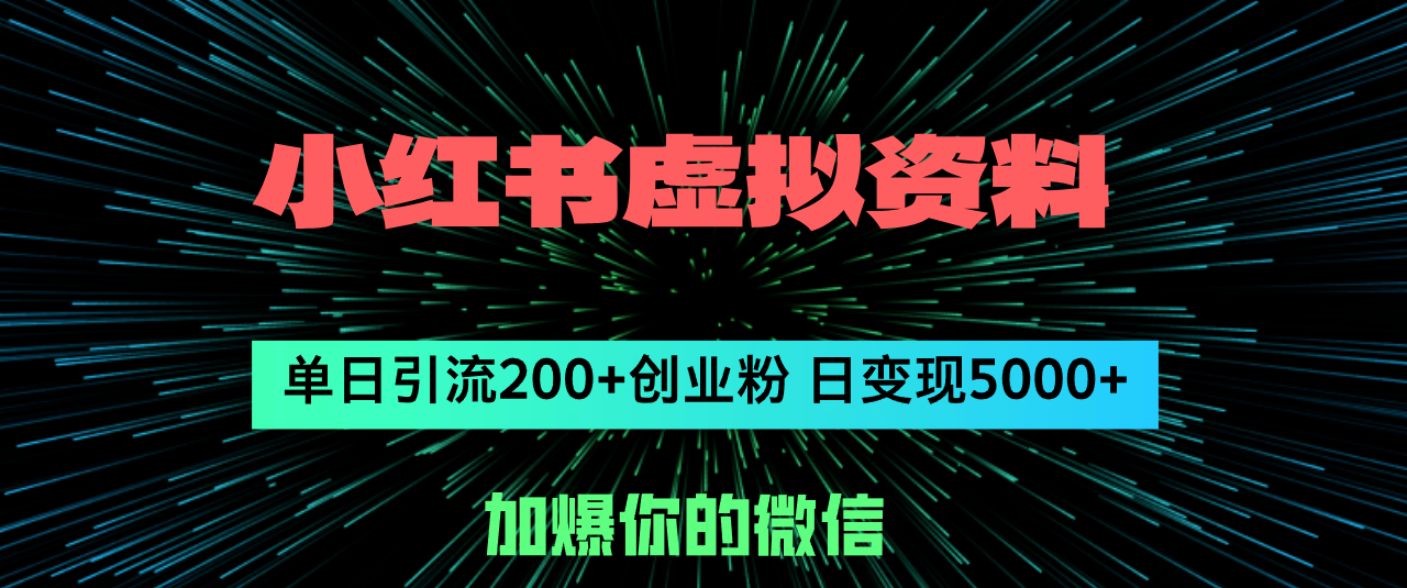 （12164期）小红书虚拟资料日引流200+创业粉，单日变现5000+-点石成金