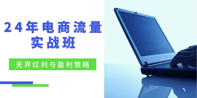 （12168期）24年电商流量实战班：无界 红利与盈利策略，终极提升/关键词优化/精准…-点石成金