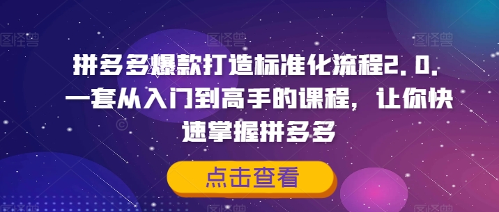 拼多多爆款打造出标准流程2.0，一套从入门到大佬的课程内容，让你快速把握拼多多平台-点石成金