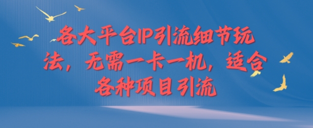 各个平台IP引流方法小细节游戏玩法，不用一卡一机，适用于各种新项目引流方法-点石成金