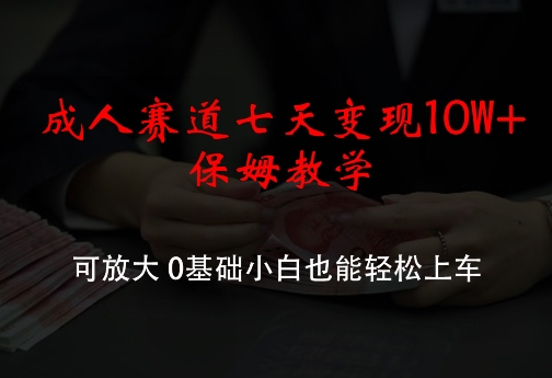 成年人跑道七天转现10W 家庭保姆课堂教学，可变大，0基本新手都可以轻松进入车内【揭密】-点石成金