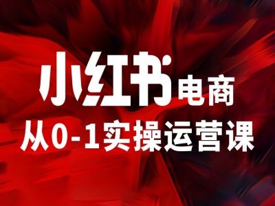 小红书电商从0-1实际操作运营课，使你从小白到精锐-点石成金