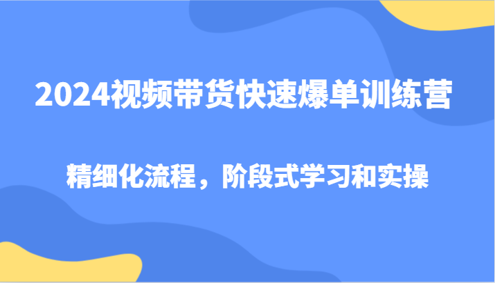 2024短视频带货迅速打造爆款夏令营，精细化管理步骤，环节式教学和实际操作-点石成金