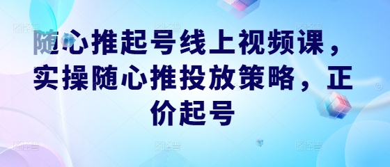 随心推起号线上视频课，实操随心推投放策略，正价起号-点石成金