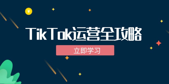 （12739期）TikTok实战运营全攻略：从下载软件到变现，抖音海外版实操教程-点石成金