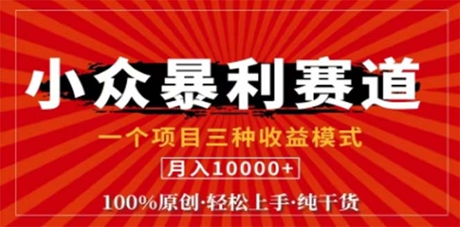 （12756期）视频号最新爆火赛道，三种可收益模式，0粉新号条条原创条条热门 日入1000+-点石成金