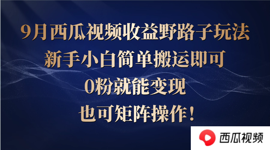 （12760期）西瓜视频收益野路子玩法，新手小白简单搬运即可，0粉就能变现，也可矩…-点石成金