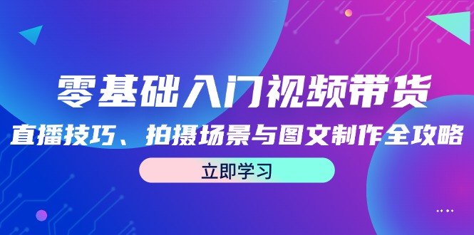 零基础入门视频带货：直播技巧、拍摄场景与图文制作全攻略-点石成金