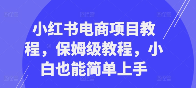 小红书电商新项目实例教程，家庭保姆级实例教程，新手也可以简易入门-点石成金